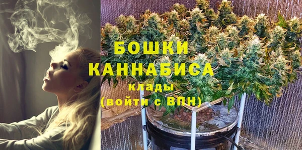 хмурый Абаза