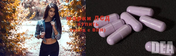ГАЛЛЮЦИНОГЕННЫЕ ГРИБЫ Вяземский