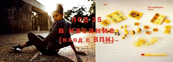 хмурый Абаза