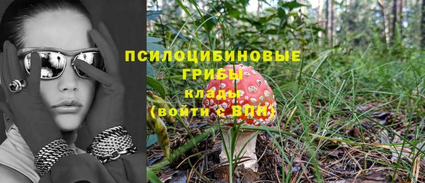 хмурый Абаза