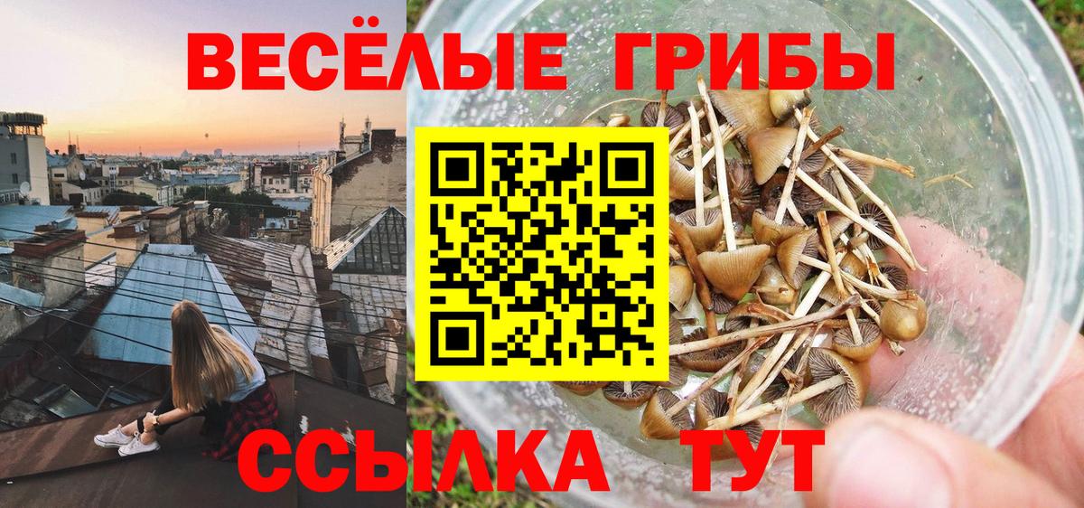 Галлюциногенные грибы GOLDEN TEACHER Рославль