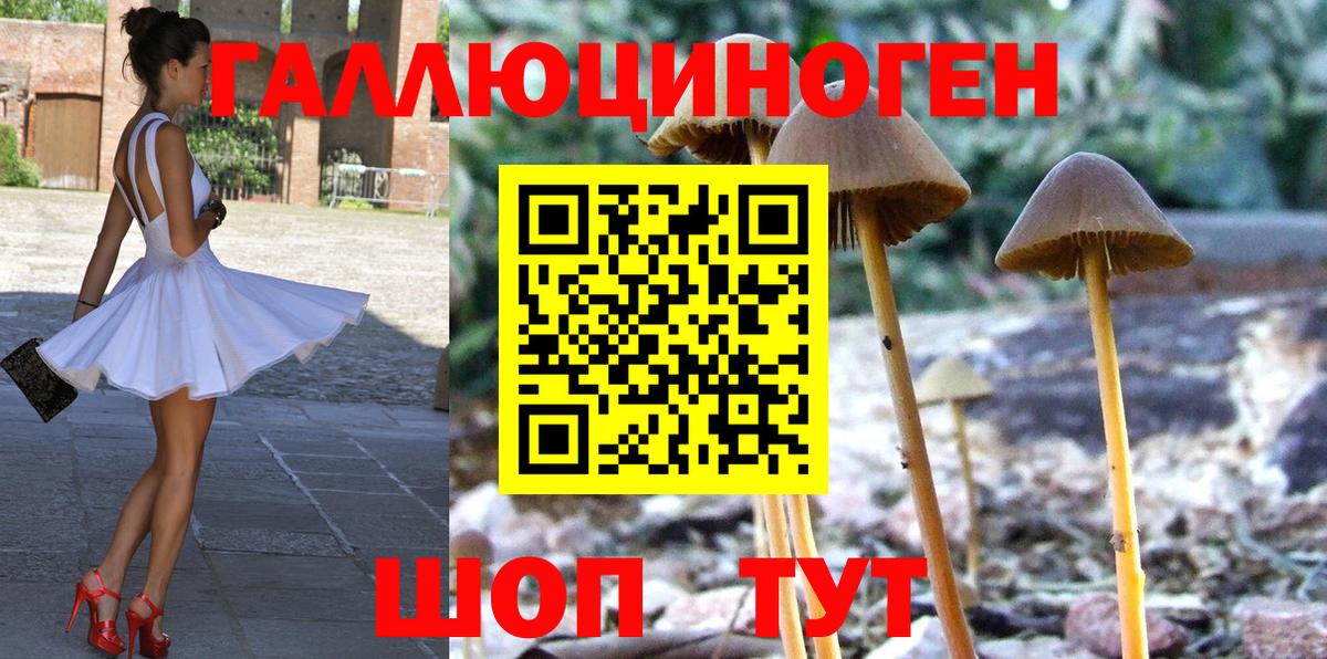 Псилоцибиновые грибы GOLDEN TEACHER  Вход с VPN  Рославль 